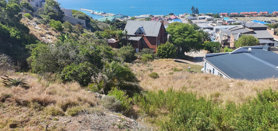 0 Bedroom Property for Sale in Linkside Western Cape